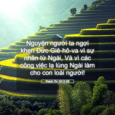 Picture 05 - Thánh Thi 107:8 VIE - Nguyện người ta ngợi khen Đức - Bible Verse Picture