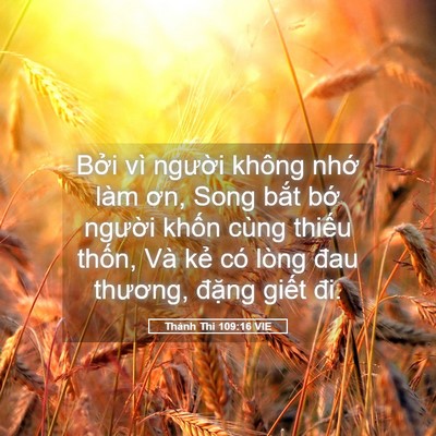 Picture 05 - Thánh Thi 109:16 VIE - Bởi vì người không nhớ làm ơn, Song - Bible Verse Picture