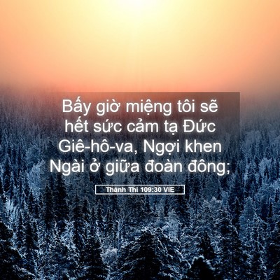 Picture 05 - Thánh Thi 109:30 VIE - Bấy giờ miệng tôi sẽ hết sức cảm - Bible Verse Picture