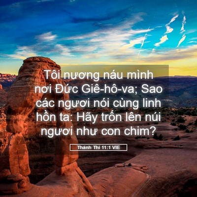 Picture 05 - Thánh Thi 11:1 VIE - Tôi nương náu mình nơi Đức Giê-hô-va; - Bible Verse Picture