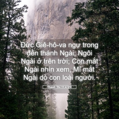 Picture 05 - Thánh Thi 11:4 VIE - Đức Giê-hô-va ngự trong đền thánh - Bible Verse Picture
