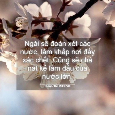 Picture 05 - Thánh Thi 110:6 VIE - Ngài sẽ đoán xét các nước, làm khắp - Bible Verse Picture