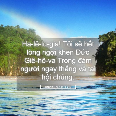 Picture 05 - Thánh Thi 111:1 VIE - Ha-lê-lu-gia! Tôi sẽ hết lòng ngợi khen - Bible Verse Picture