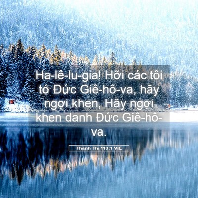 Picture 05 - Thánh Thi 113:1 VIE - Ha-lê-lu-gia! Hỡi các tôi tớ Đức - Bible Verse Picture