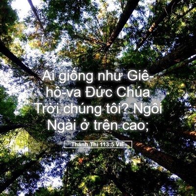 Picture 05 - Thánh Thi 113:5 VIE - Ai giống như Giê-hô-va Đức Chúa Trời - Bible Verse Picture