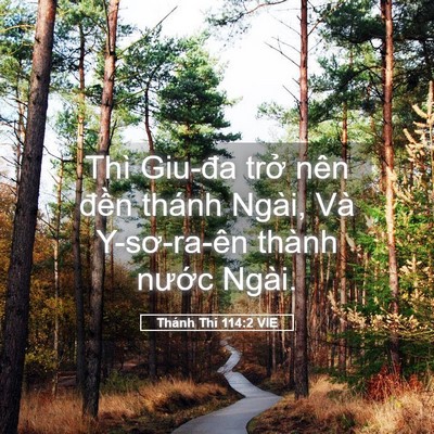 Picture 05 - Thánh Thi 114:2 VIE - Thì Giu-đa trở nên đền thánh Ngài, Và - Bible Verse Picture