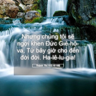 Picture 05 - Thánh Thi 115:18 VIE - Nhưng chúng tôi sẽ ngợi khen Đức - Bible Verse Picture