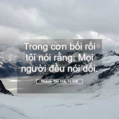 Picture 05 - Thánh Thi 116:11 VIE - Trong cơn bối rối tôi nói rằng: Mọi - Bible Verse Picture