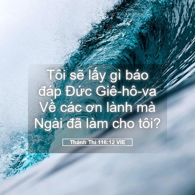 Picture 05 - Thánh Thi 116:12 VIE - Tôi sẽ lấy gì báo đáp Đức Giê-hô-va - Bible Verse Picture