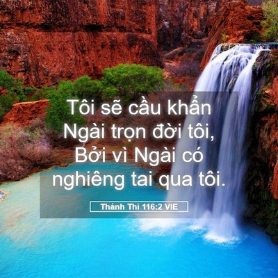 Picture 05 - Thánh Thi 116:2 VIE - Tôi sẽ cầu khẩn Ngài trọn đời tôi, - Bible Verse Picture