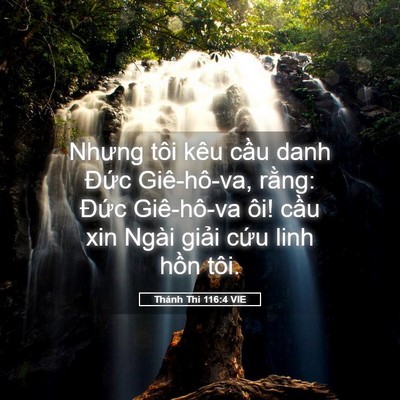 Picture 05 - Thánh Thi 116:4 VIE - Nhưng tôi kêu cầu danh Đức Giê-hô-va, - Bible Verse Picture