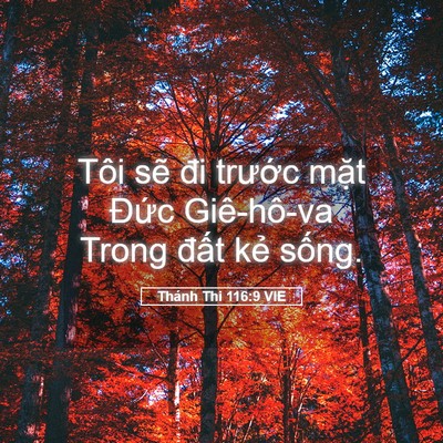 Picture 05 - Thánh Thi 116:9 VIE - Tôi sẽ đi trước mặt Đức Giê-hô-va - Bible Verse Picture