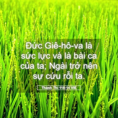 Picture 05 - Thánh Thi 118:14 VIE - Đức Giê-hô-va là sức lực và là bài - Bible Verse Picture