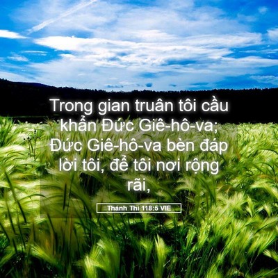Picture 05 - Thánh Thi 118:5 VIE - Trong gian truân tôi cầu khẩn Đức - Bible Verse Picture