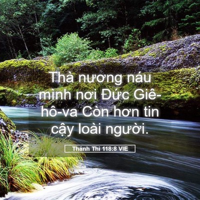 Picture 05 - Thánh Thi 118:8 VIE - Thà nương náu mình nơi Đức Giê-hô-va - Bible Verse Picture