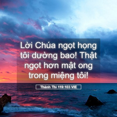 Picture 05 - Thánh Thi 119:103 VIE - Lời Chúa ngọt họng tôi dường bao! - Bible Verse Picture