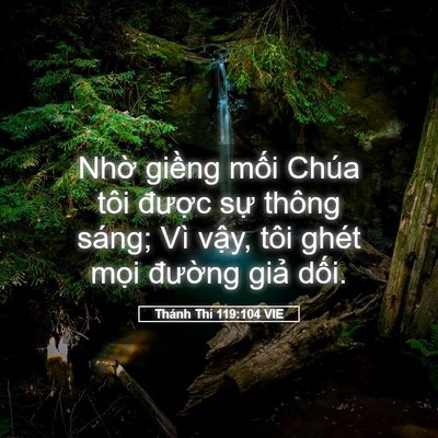 Picture 05 - Thánh Thi 119:104 VIE - Nhờ giềng mối Chúa tôi được sự - Bible Verse Picture