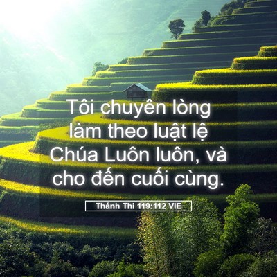 Picture 05 - Thánh Thi 119:112 VIE - Tôi chuyên lòng làm theo luật lệ Chúa - Bible Verse Picture