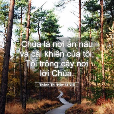 Picture 05 - Thánh Thi 119:114 VIE - Chúa là nơi ẩn náu và cái khiên của - Bible Verse Picture