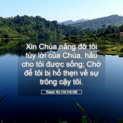 Picture 05 - Thánh Thi 119:116 VIE - Xin Chúa nâng đỡ tôi tùy lời của - Bible Verse Picture