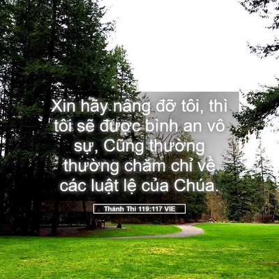 Picture 05 - Thánh Thi 119:117 VIE - Xin hãy nâng đỡ tôi, thì tôi sẽ - Bible Verse Picture