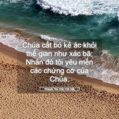 Picture 05 - Thánh Thi 119:119 VIE - Chúa cất bỏ kẻ ác khỏi thế gian như - Bible Verse Picture