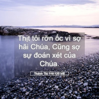 Picture 05 - Thánh Thi 119:120 VIE - Thịt tôi rỡn ốc vì sợ hãi Chúa, Cũng - Bible Verse Picture