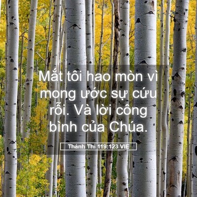 Picture 05 - Thánh Thi 119:123 VIE - Mắt tôi hao mòn vì mong ước sự cứu - Bible Verse Picture