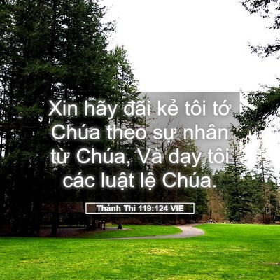 Picture 05 - Thánh Thi 119:124 VIE - Xin hãy đãi kẻ tôi tớ Chúa theo sự - Bible Verse Picture