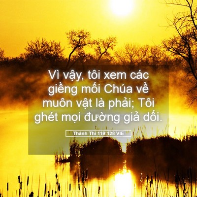 Picture 05 - Thánh Thi 119:128 VIE - Vì vậy, tôi xem các giềng mối Chúa về - Bible Verse Picture
