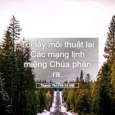 Picture 05 - Thánh Thi 119:13 VIE - Tôi lấy môi thuật lại Các mạng lịnh - Bible Verse Picture