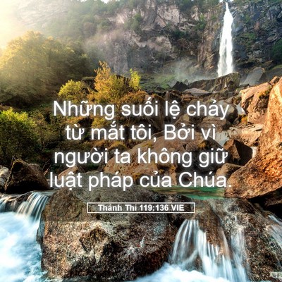 Picture 05 - Thánh Thi 119:136 VIE - Những suối lệ chảy từ mắt tôi, Bởi - Bible Verse Picture