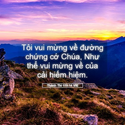 Picture 05 - Thánh Thi 119:14 VIE - Tôi vui mừng về đường chứng cớ - Bible Verse Picture