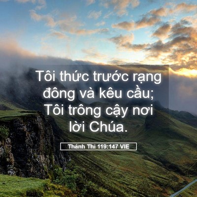 Picture 05 - Thánh Thi 119:147 VIE - Tôi thức trước rạng đông và kêu - Bible Verse Picture