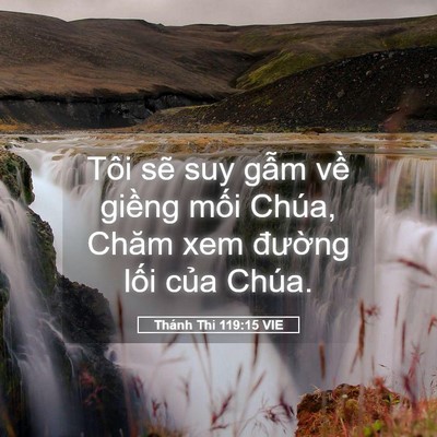 Picture 05 - Thánh Thi 119:15 VIE - Tôi sẽ suy gẫm về giềng mối Chúa, - Bible Verse Picture