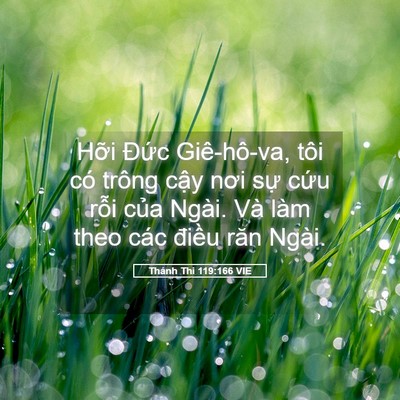 Picture 05 - Thánh Thi 119:166 VIE - Hỡi Đức Giê-hô-va, tôi có trông cậy - Bible Verse Picture