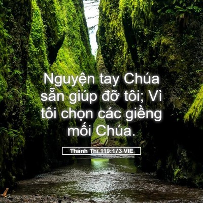 Picture 05 - Thánh Thi 119:173 VIE - Nguyện tay Chúa sẵn giúp đỡ tôi; Vì - Bible Verse Picture