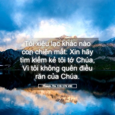 Picture 05 - Thánh Thi 119:176 VIE - Tôi xiêu lạc khác nào con chiên mất: Xin - Bible Verse Picture