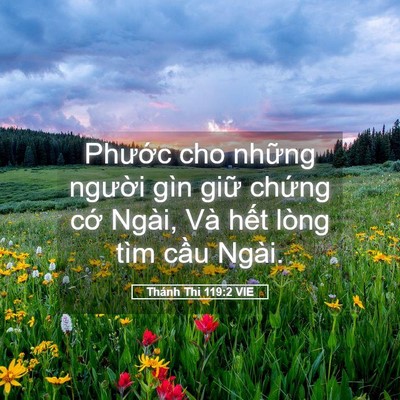 Picture 05 - Thánh Thi 119:2 VIE - Phước cho những người gìn giữ chứng - Bible Verse Picture
