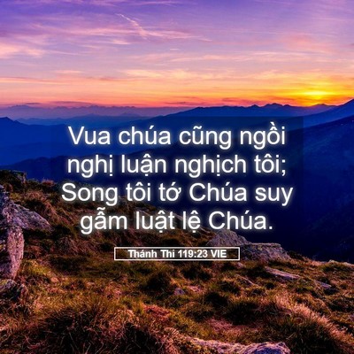 Picture 05 - Thánh Thi 119:23 VIE - Vua chúa cũng ngồi nghị luận nghịch - Bible Verse Picture