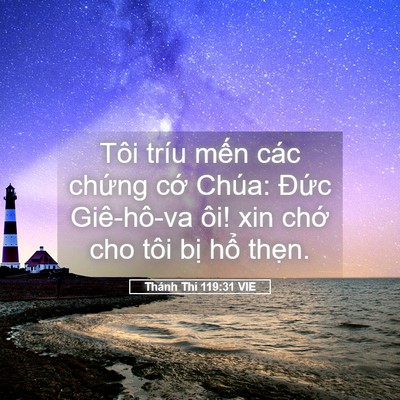 Picture 05 - Thánh Thi 119:31 VIE - Tôi tríu mến các chứng cớ Chúa: Đức - Bible Verse Picture