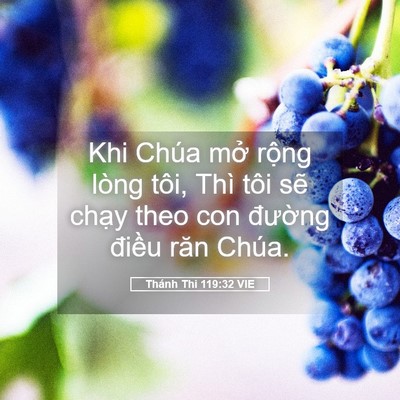 Picture 05 - Thánh Thi 119:32 VIE - Khi Chúa mở rộng lòng tôi, Thì tôi sẽ - Bible Verse Picture