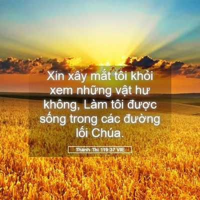 Picture 05 - Thánh Thi 119:37 VIE - Xin xây mắt tôi khỏi xem những vật hư - Bible Verse Picture