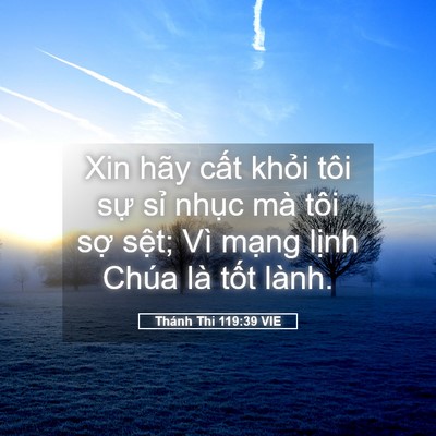 Picture 05 - Thánh Thi 119:39 VIE - Xin hãy cất khỏi tôi sự sỉ nhục mà - Bible Verse Picture