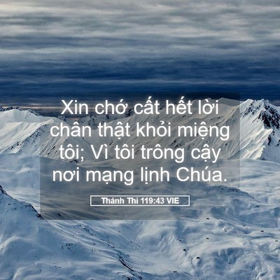 Picture 05 - Thánh Thi 119:43 VIE - Xin chớ cất hết lời chân thật khỏi - Bible Verse Picture
