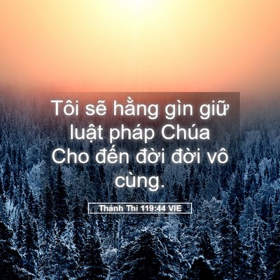 Picture 05 - Thánh Thi 119:44 VIE - Tôi sẽ hằng gìn giữ luật pháp Chúa - Bible Verse Picture