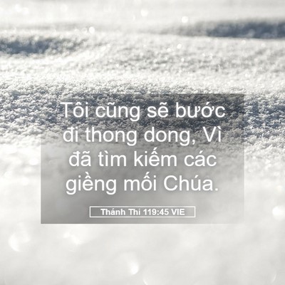 Picture 05 - Thánh Thi 119:45 VIE - Tôi cũng sẽ bước đi thong dong, Vì đã - Bible Verse Picture