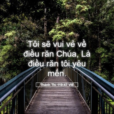 Picture 05 - Thánh Thi 119:47 VIE - Tôi sẽ vui vẻ về điều răn Chúa, Là - Bible Verse Picture