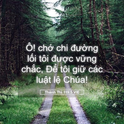 Picture 05 - Thánh Thi 119:5 VIE - Ô! chớ chi đường lối tôi được - Bible Verse Picture