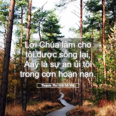 Picture 05 - Thánh Thi 119:50 VIE - Lời Chúa làm cho tôi được sống lại, - Bible Verse Picture